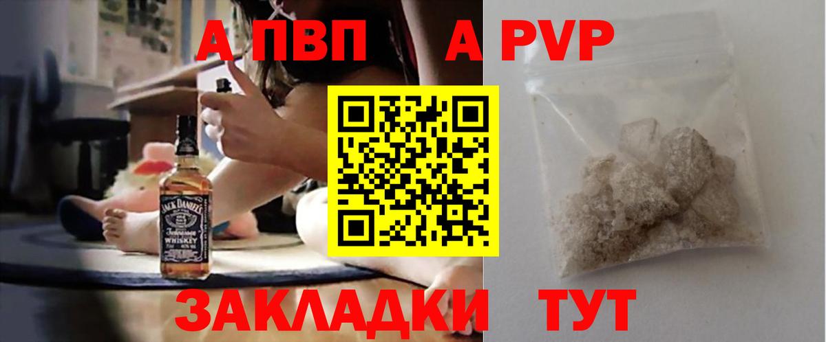 Alfa_PVP СК Балтийск