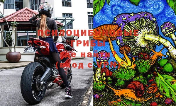бутират Осташков