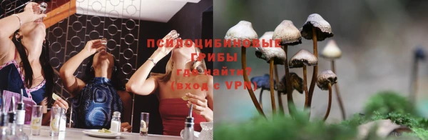 ALPHA-PVP Няндома
