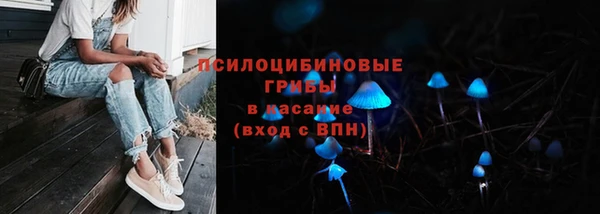 мяу мяу мука Нягань