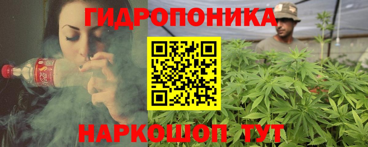 Канабис марихуана Балтийск