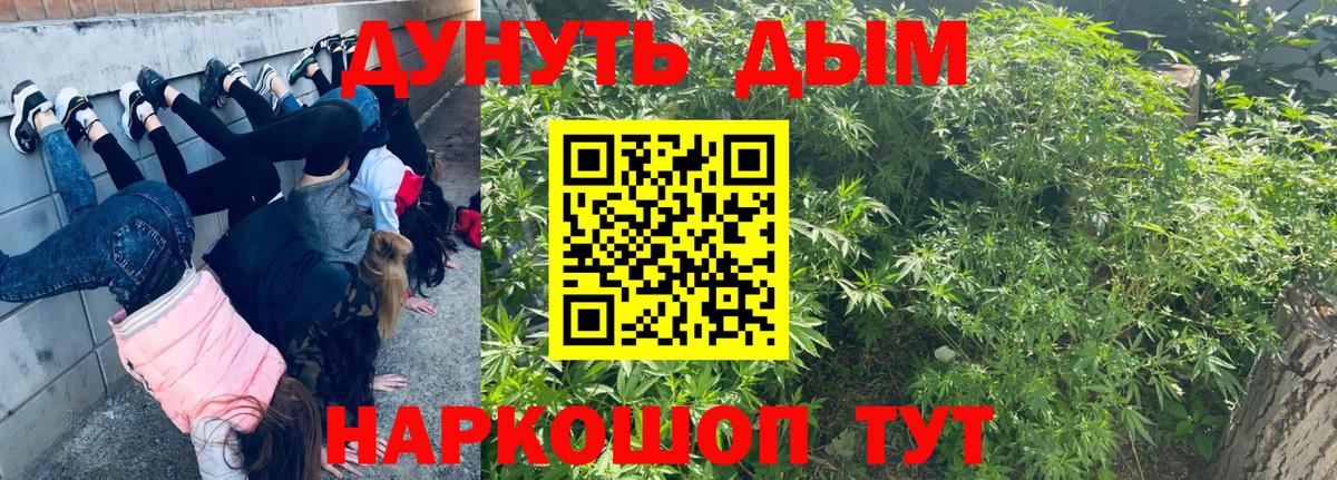 Шишки марихуана SATIVA & INDICA  Канабис OG Kush  Бошки Шишки семена  Бошки марихуана White Widow  Вход с VPN  Балтийск 